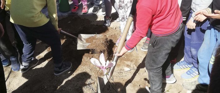 Junta de Freguesia requalifica novo espaço verde Junta de Freguesia requalifica novo espaço verde